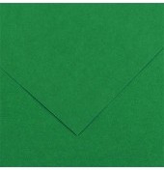 Picture of PAPER CANSON COLORLINE 50x70 220gr 30 MOSS GREEN