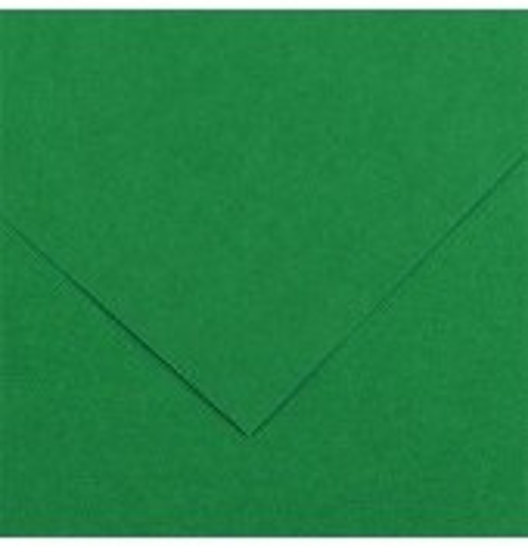 Εικόνα της ΧΑΡΤΙ CANSON COLORLINE 50x70 220gr 30 MOSS GREEN