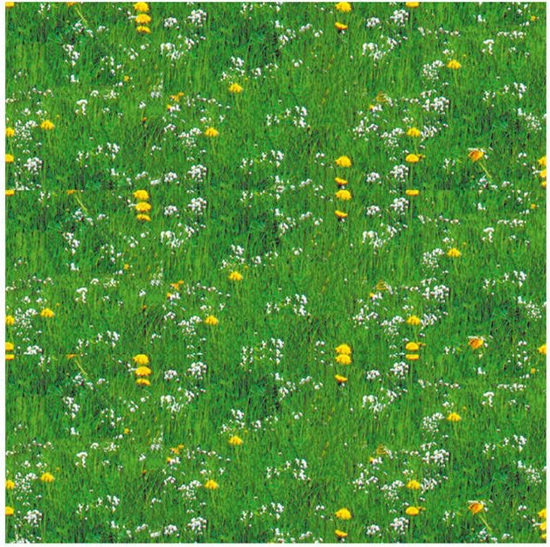 Picture of PAPER URSUS 50x68/300gr GRASS FLOWERS