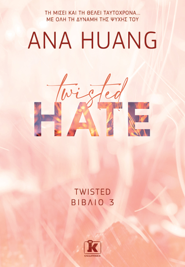 Picture of Twisted hate. Twisted Book 3