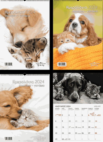 Picture of SPIRAL WALL CALENDAR KITTENS-DOGS 21X29 2024