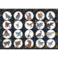 Εικόνα της ΜΠΛΟΚ ΖΩΓΡΑΦΙΚΗΣ JURASSIC WORLD MORE TEETH 23X33 40ΦΥΛΛΑ ΑΥΤΟΚΟΛΛΗΤΑ-ΣΤΕΝΣΙΛ