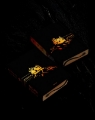 Picture of Fourth Wing Deluxe Empyrean #1